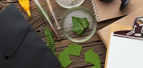 The Eco and Sustainability Club